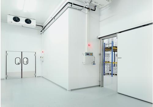 Maxicella14